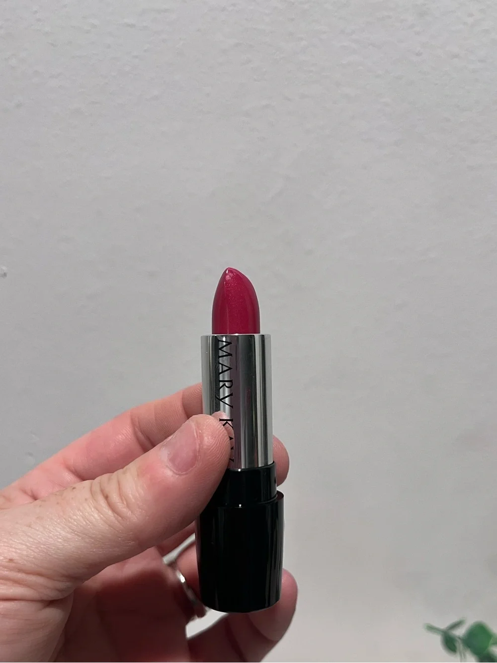 Mary Kay Lip Bundle